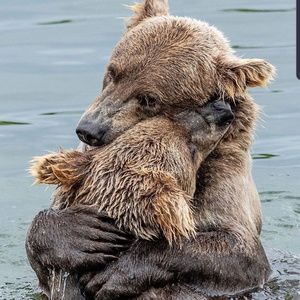 Meet your Posher, Randi